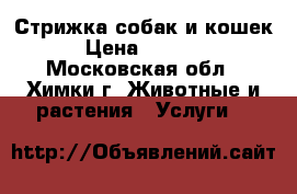 Стрижка собак и кошек › Цена ­ 1 000 - Московская обл., Химки г. Животные и растения » Услуги   